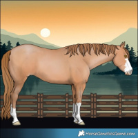 Horse Color:Brown Pearl