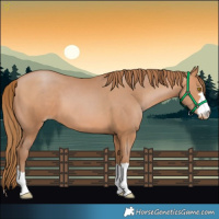 Horse Color:Brown Pearl