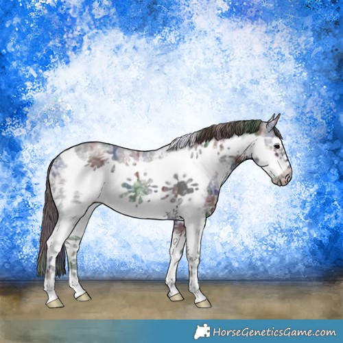 Horse Color:Nacre Black Ice Sabino Frame 