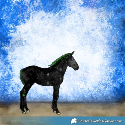 Horse Color:ERROR: UNKNOWN ANOMALY