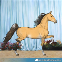 Horse Color:Buckskin Dun Tobiano 