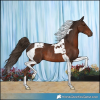 Horse Color:Liver Chestnut Tobiano Rabicano
