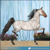 Horse Color:White Spotted Bay Roan Dun 