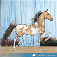 Horse Color:White Spotted Buckskin Dun Tobiano 