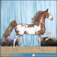 Horse Color:Chestnut Sabino Splash Frame Appaloosa 