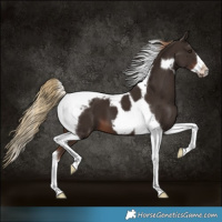 Horse Color:Liver Chestnut Tobiano Frame 