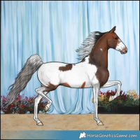 Horse Color:Bay Tobiano Frame 