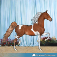 Horse Color:Chestnut Tobiano 