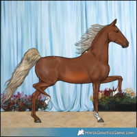 Horse Color:Chestnut Tobiano 