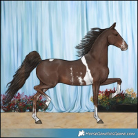 Horse Color:Liver Chestnut Sabino Tobiano 