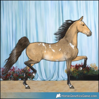 Horse Color:White Spotted Buckskin Dun 