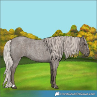 Horse Color:Silver Blue Roan