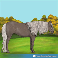 Horse Color:Silver Black 