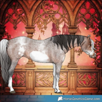 Horse Color:White Spotted Brown Roan Frame 