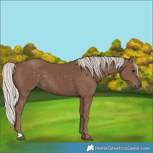 Horse Color:Silver Black 