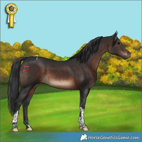 Horse Color:Brown Tobiano 