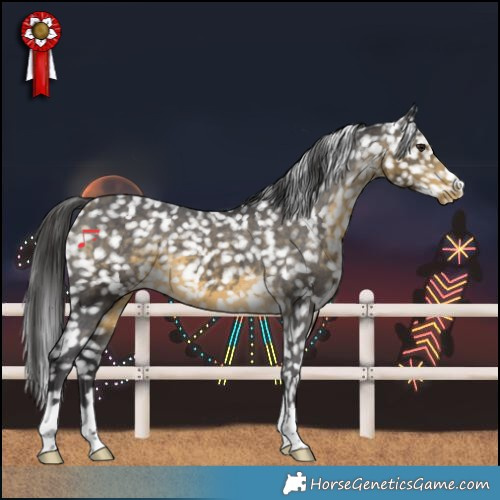 Horse Color:Buckskin Snowflake Varnish 