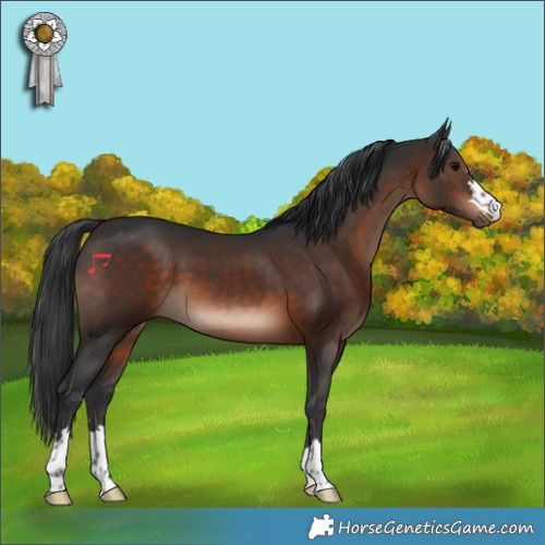 Horse Color:Brown 