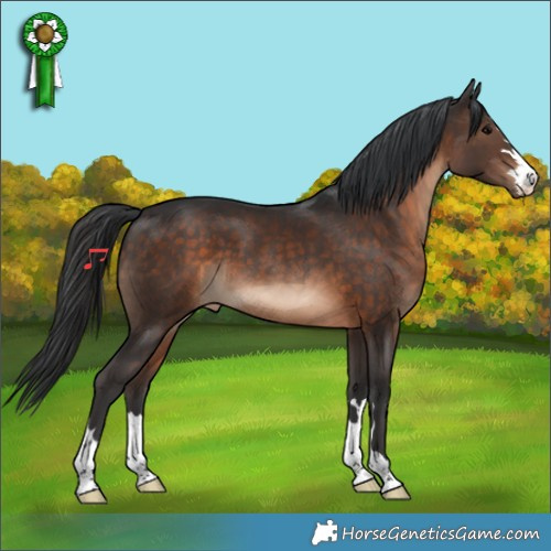 Horse Color:Brown 