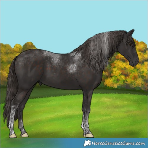 Horse Color:Liver Chestnut Tobiano 