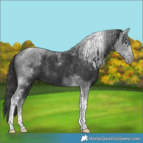 Horse Color:Liver Chestnut Tobiano 