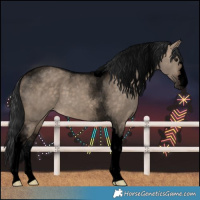 Horse Color:Void Brown Dun Tobiano 