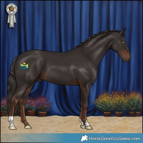 Horse Color:Liver Chestnut 