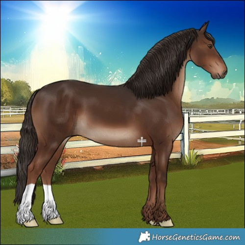Horse Color:Liver Chestnut 