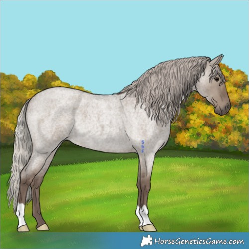 Horse Color:Silver Grullo Roan 