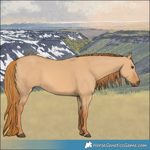 Horse Color:Red Dun 