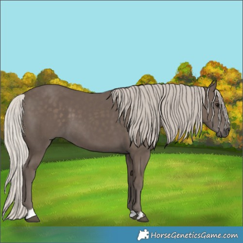 Horse Color:Silver Black 