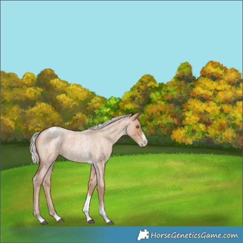 Horse Color:Silver Blue Roan Pearl Tobiano Frame 