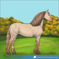 Horse Color:Red Dun 