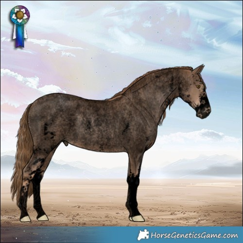 Horse Color:Void Liver Red Roan Pearl Sabino 