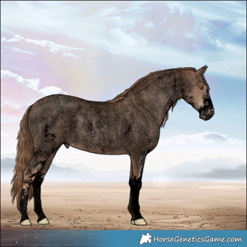 Horse Color:Void Liver Red Roan Pearl Sabino 