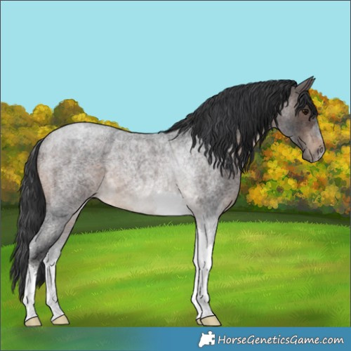 Horse Color:Brown Roan Tobiano 