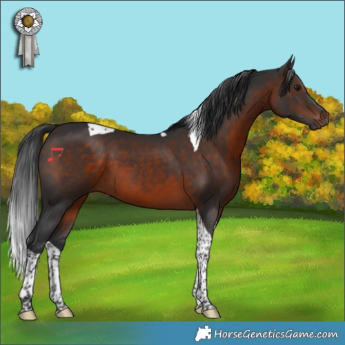 Horse Color:Brown Tobiano 