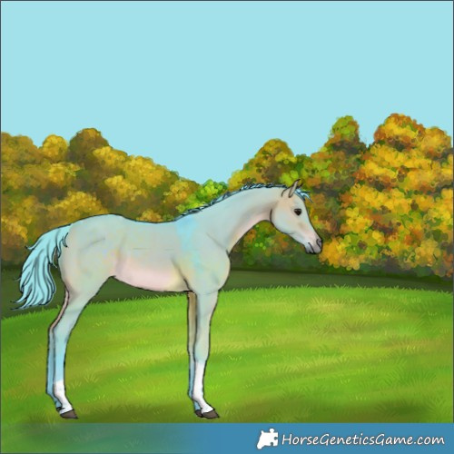Horse Color:Watercolor Brown Dun Tobiano Rabicano 