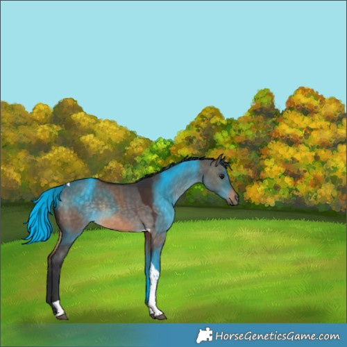 Horse Color:Brown Dun Tobiano Rabicano 