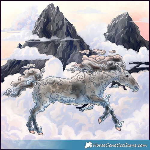 Horse Color:Void Brown Dun Tobiano Appaloosa 