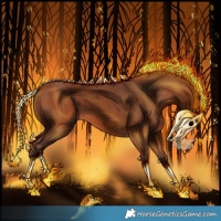 Horse Color:Void Silver Brown Rabicano 