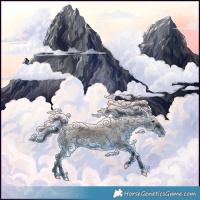 Horse Color:Void Grullo 