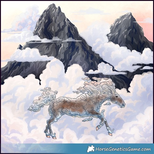 Horse Color:Silver Brown Appaloosa Rabicano