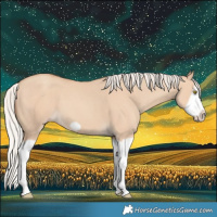 Horse Color:Silver Classic Champagne Dun Splash Frame 