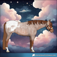 Horse Color:Red Roan Snowcap 