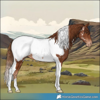 Horse Color:Chestnut Tobiano Near Fewspot 