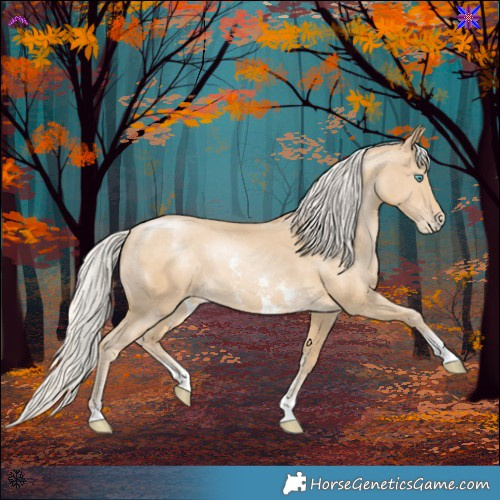Horse Color:Silver Smoky Black Pearl Sabino 