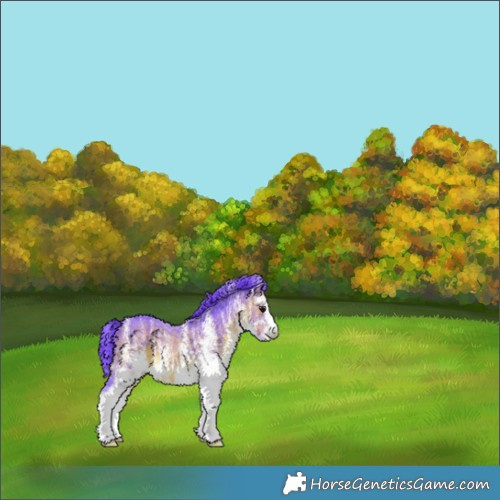 Horse Color:Watercolor White Spotted Brown 