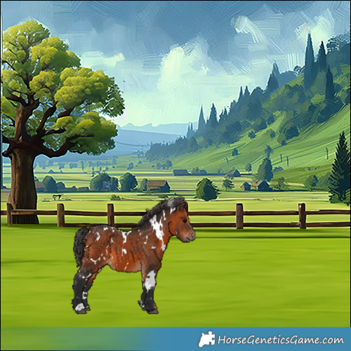 Horse Color:White Spotted Brown 