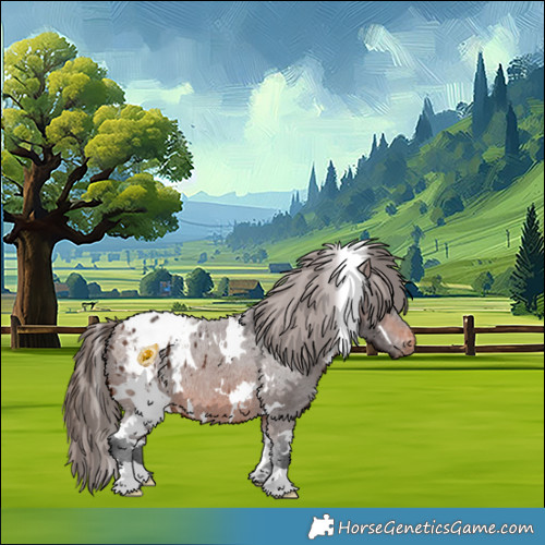 Horse Color:White Spotted Brown Appaloosa 